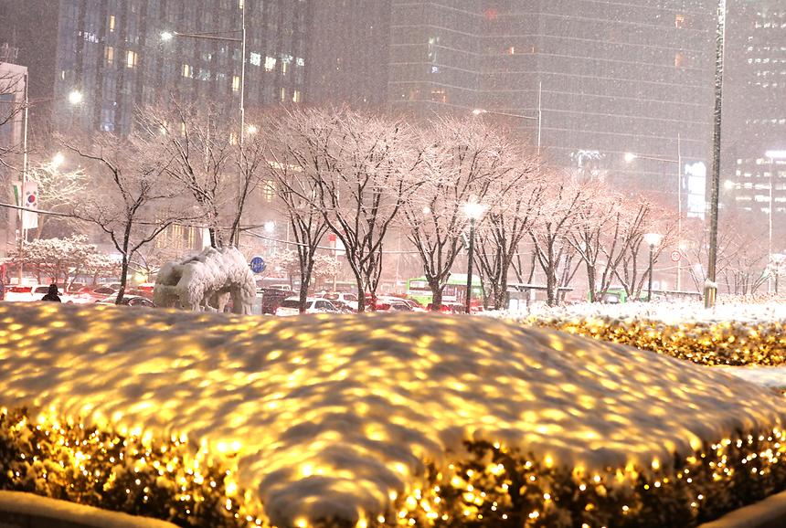 강남 설경  - 10