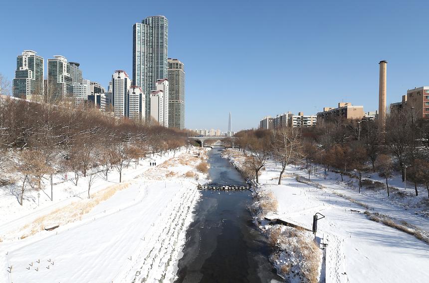 양재천 설경 - 1