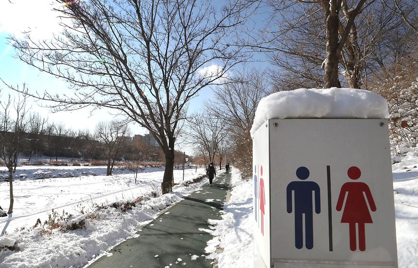 양재천 설경 - 7