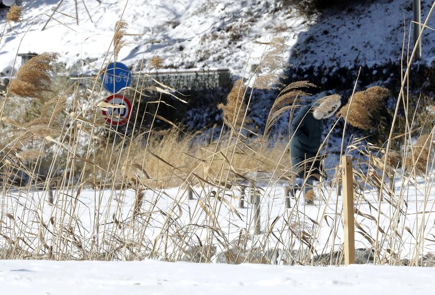 양재천 설경 - 6