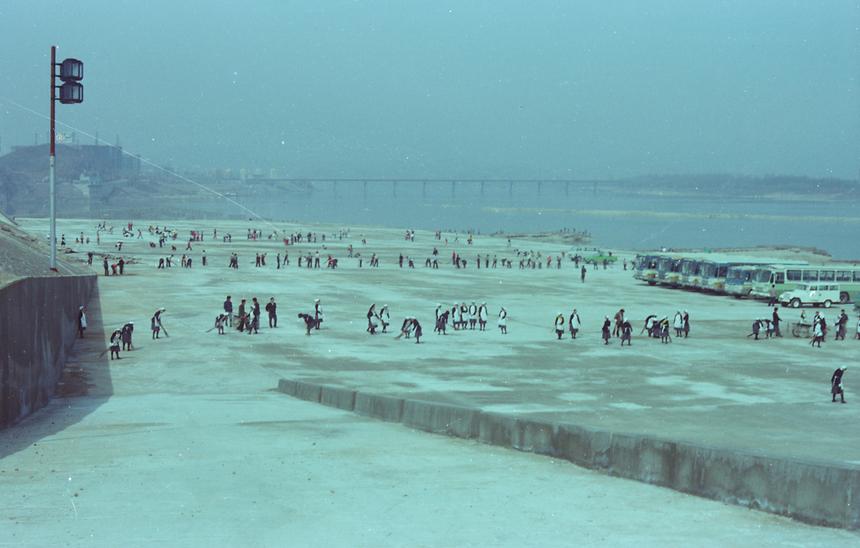 한강변 자연보호 활동 - 2