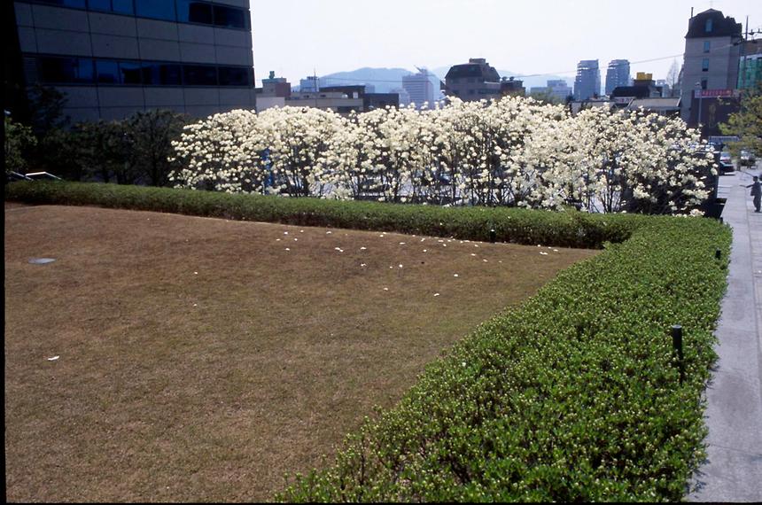 테헤란로(역삼역) - 4