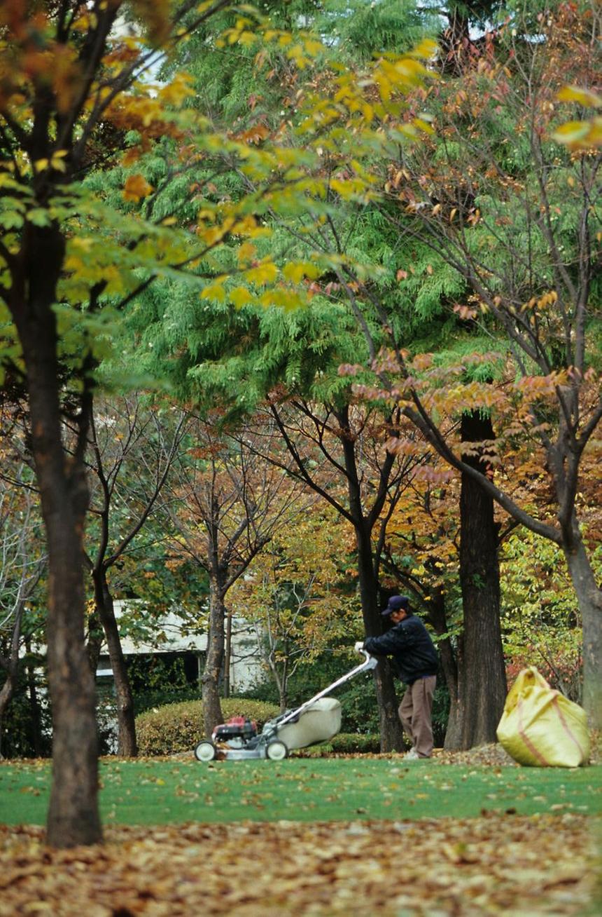 도산공원 - 1