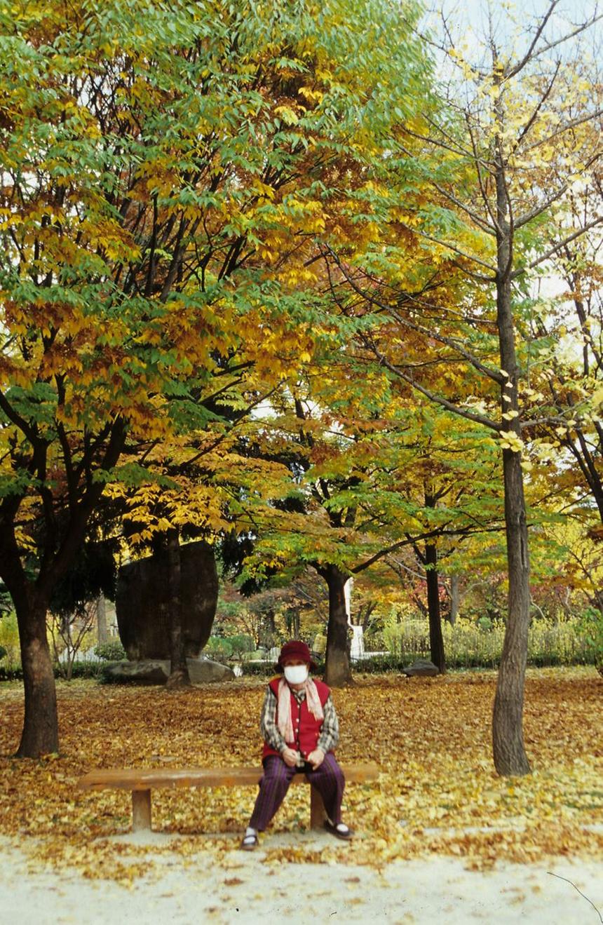 도산공원 - 2