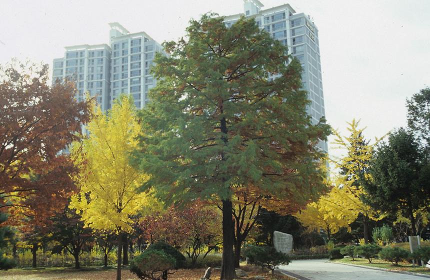 도산공원 - 5