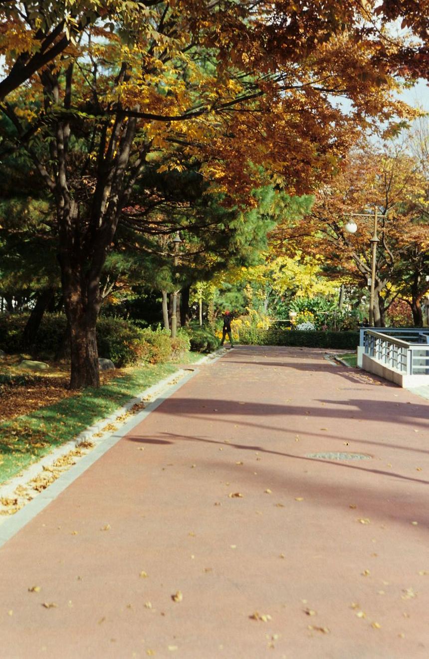 도산공원 - 4