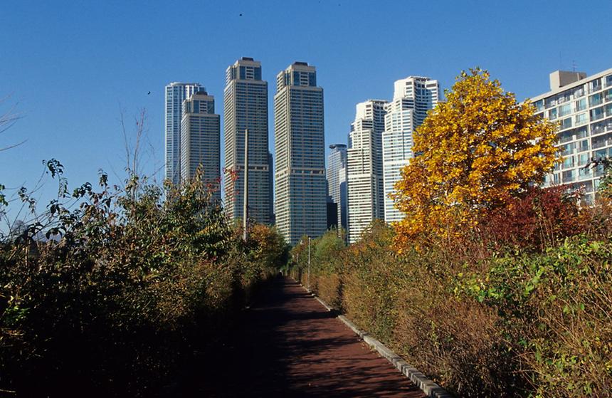 강남구 도곡동 - 3
