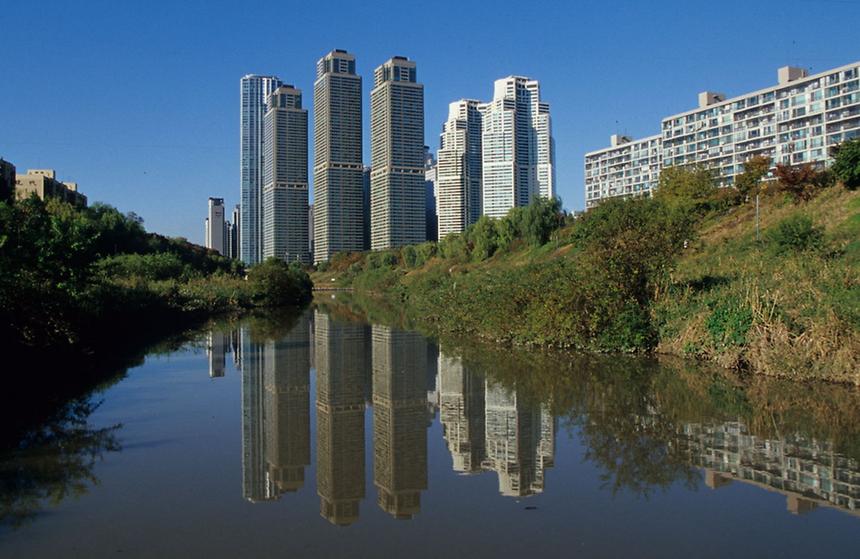 강남구 도곡동 - 4