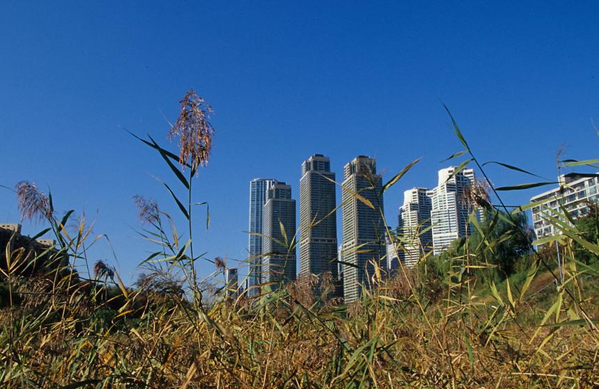 강남구 도곡동 - 2