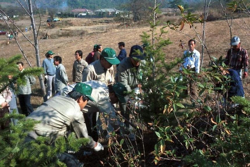 육림의 날 행사 - 2