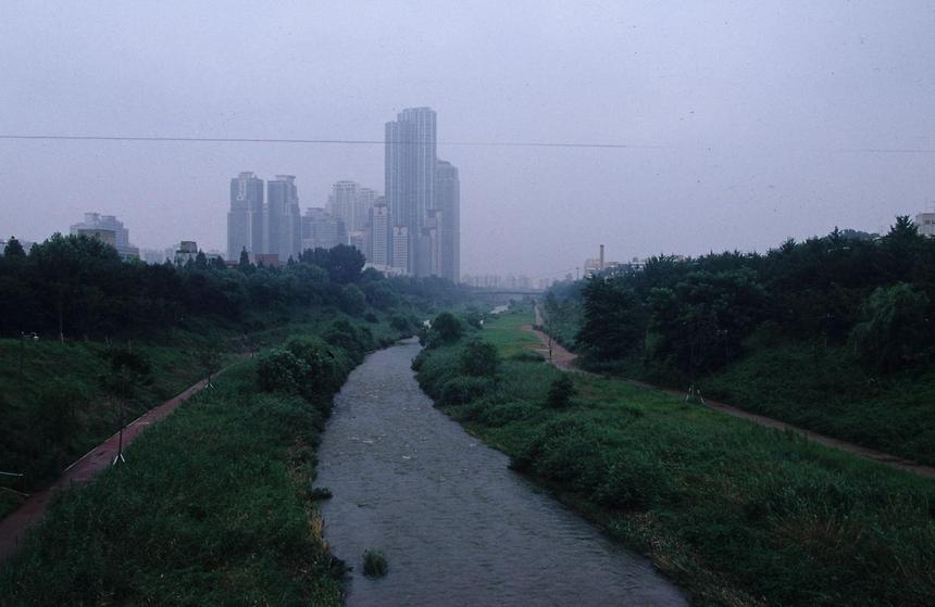 양재천 및 양재동 - 4