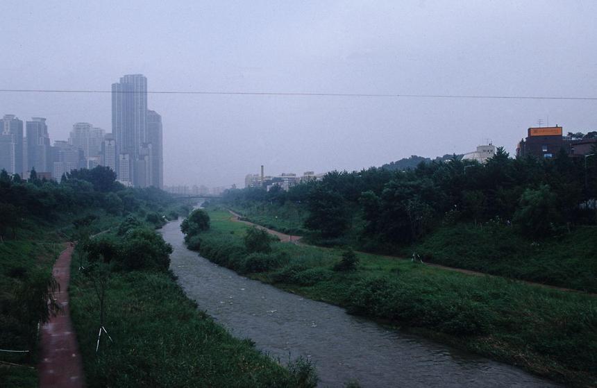 양재천 및 양재동 - 1