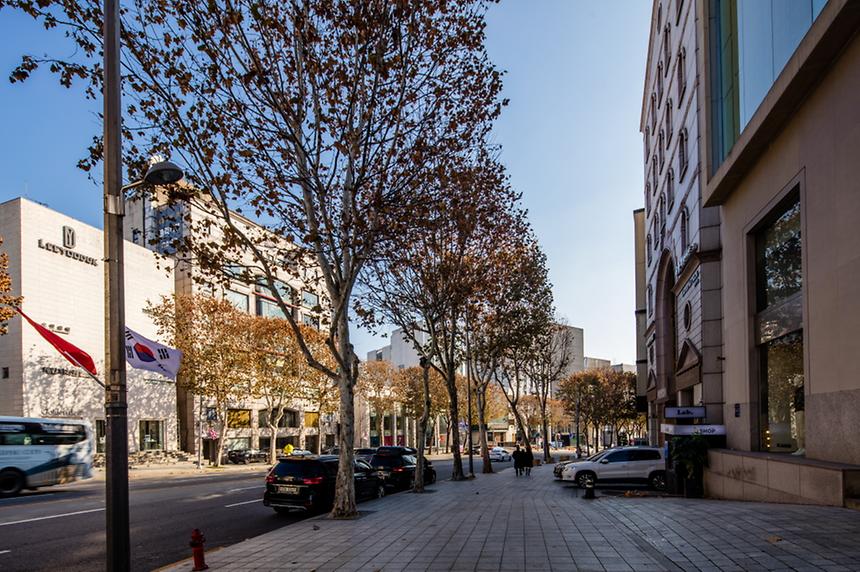 청담동 패션거리 - 6