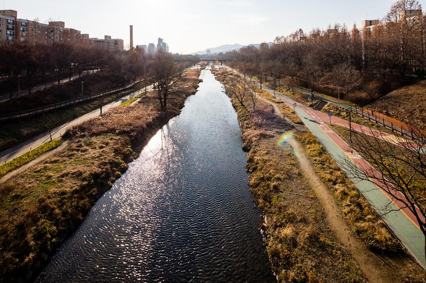 양재천 - 3
