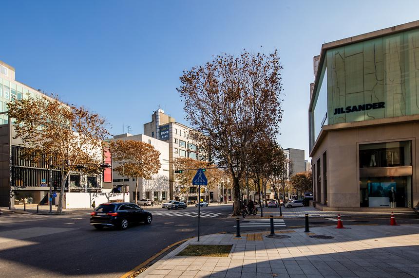 청담동 패션거리 - 4