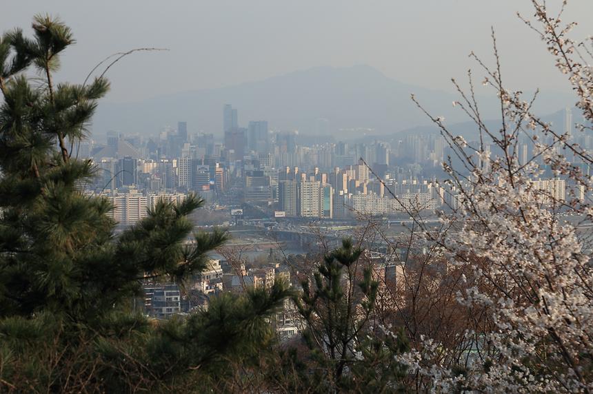한남대교 - 1