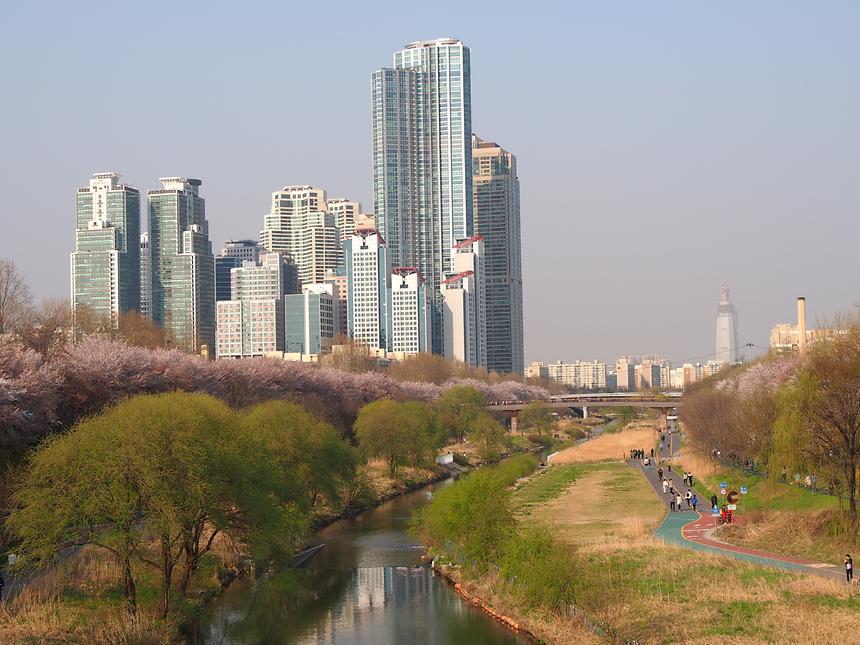양재천 - 17