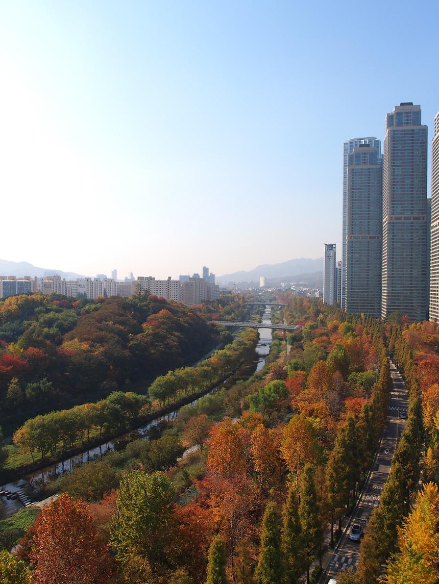 양재천 - 7