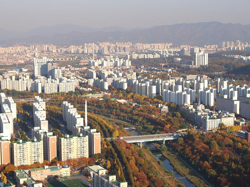 양재천 - 3