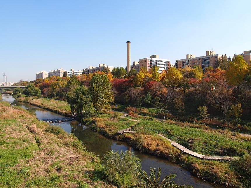 양재천 - 2