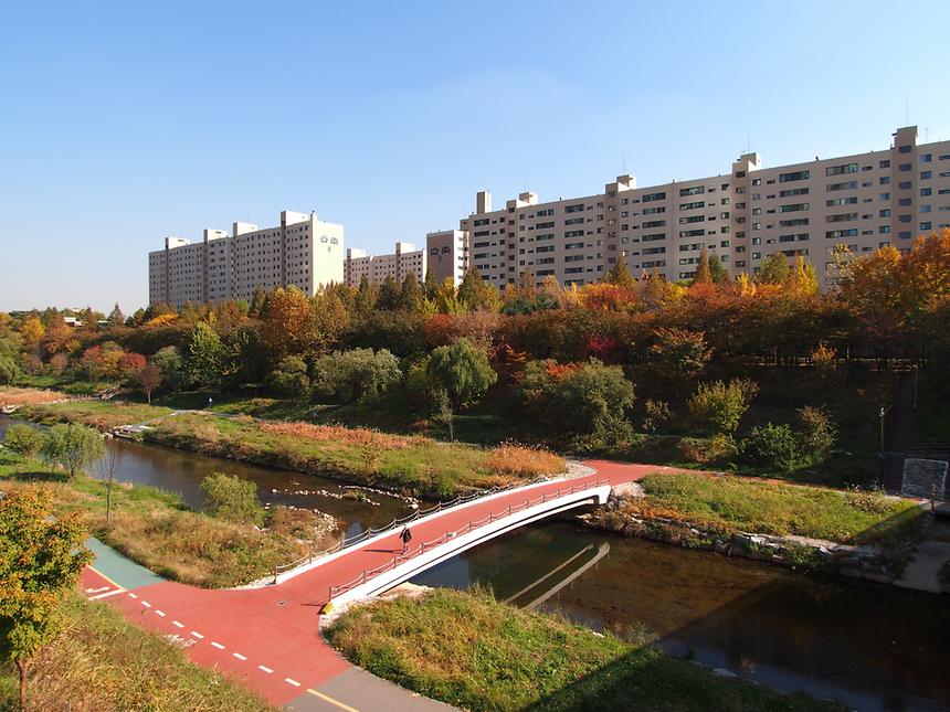 양재천 - 14