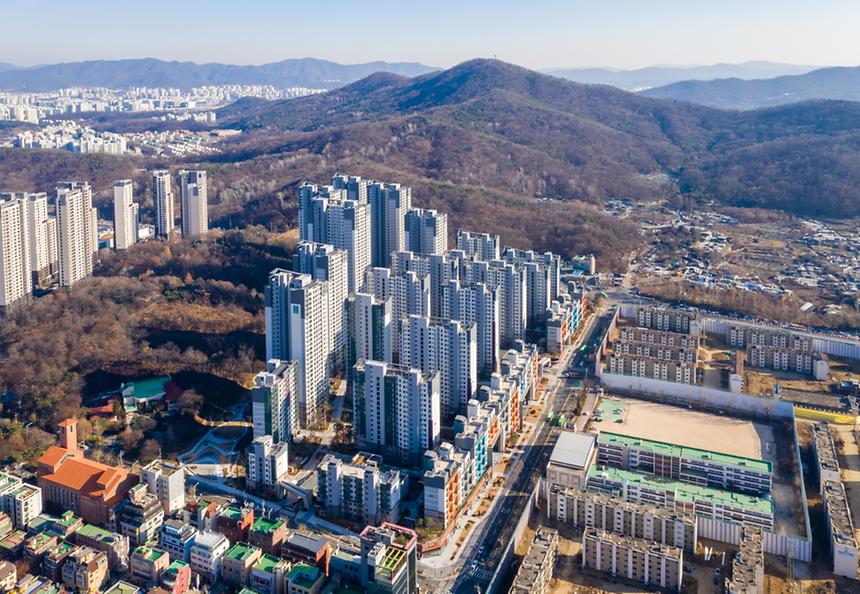 개포2단지 - 1