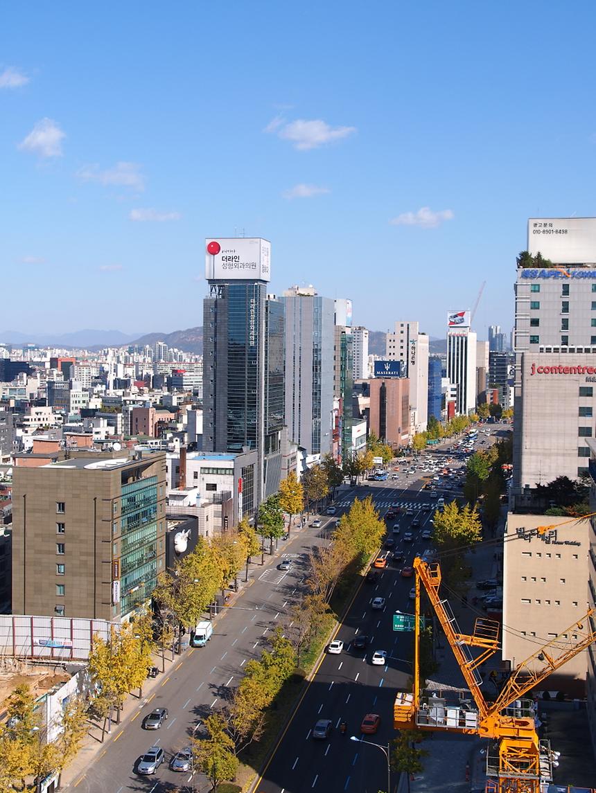 가로수길 - 1