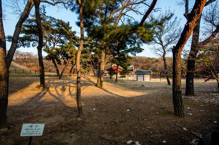 선정릉 - 5