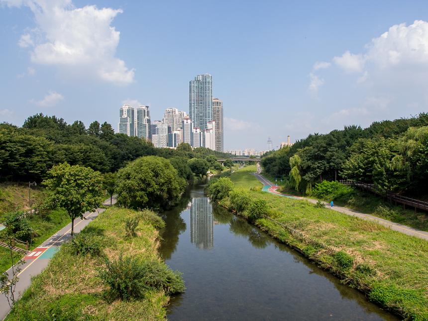 양재천 - 1