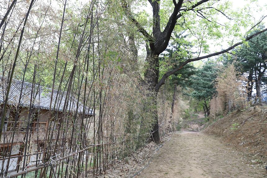 강남구-봉은사 명상길 업무협약식 - 8