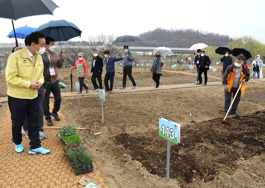 세곡동 ‘힐링텃밭’ 방문 - 2