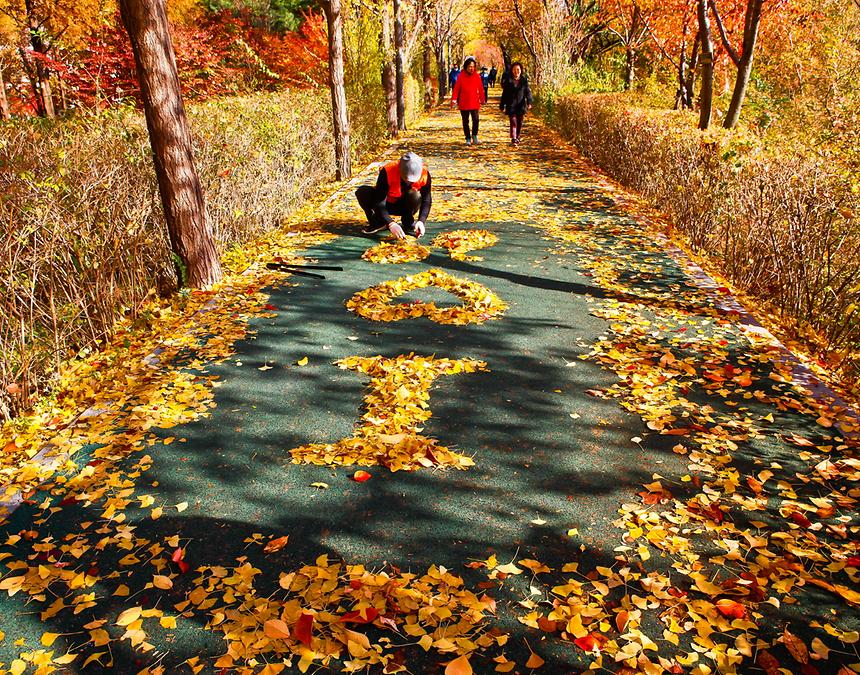 2018년 강남구 사진공모전 출품작(양재천) - 5