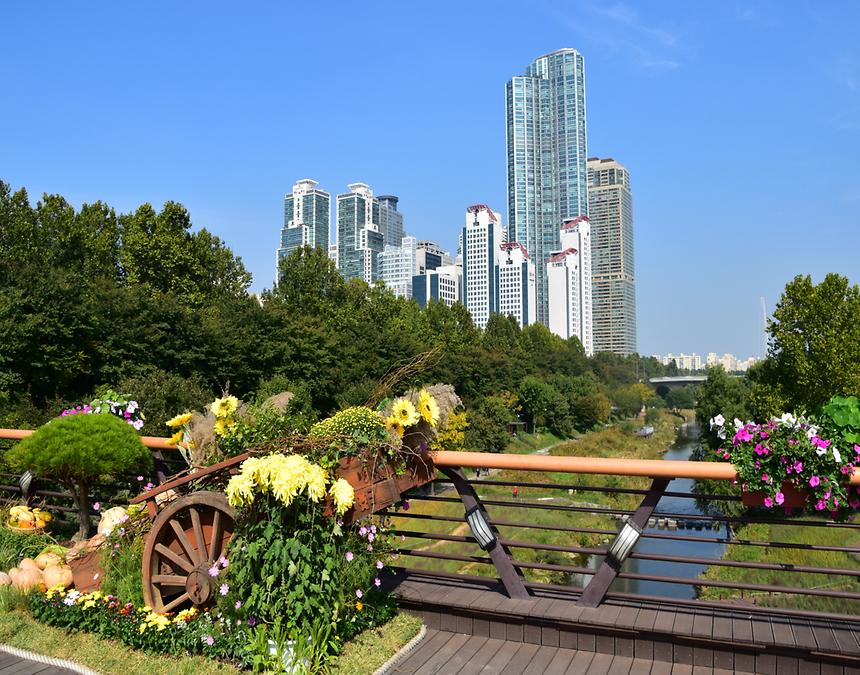 2018년 강남구 사진공모전 출품작(양재천) - 10