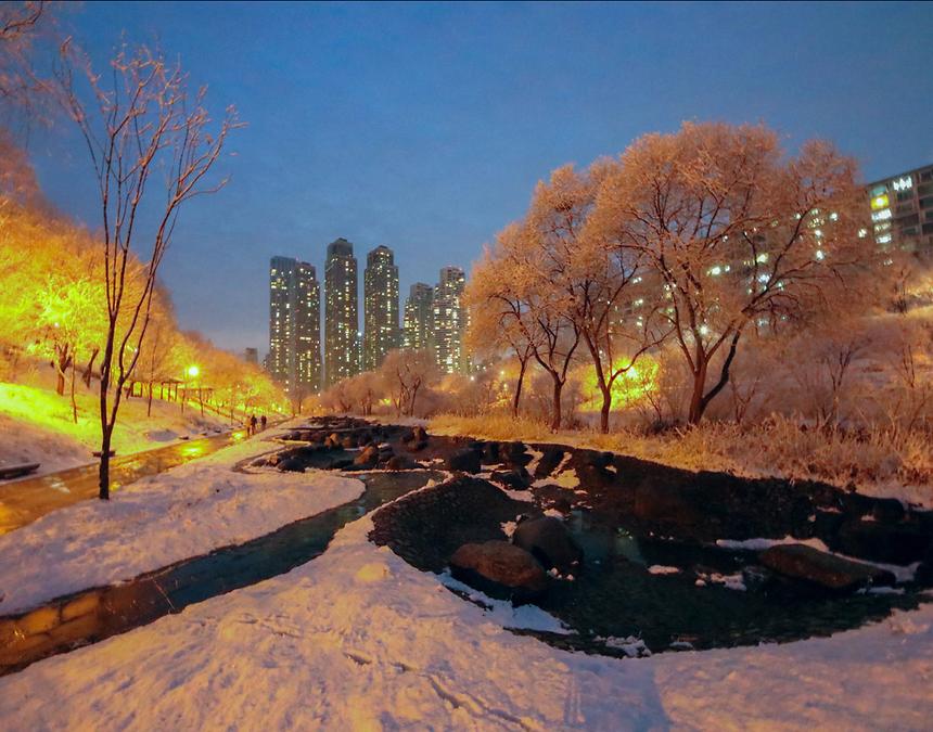 2018년 강남구 사진공모전 출품작(양재천) - 6