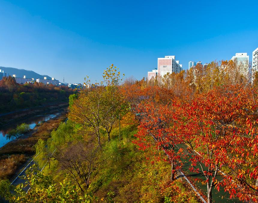 2017년 강남구 사진공모전 출품작(양재천) - 1