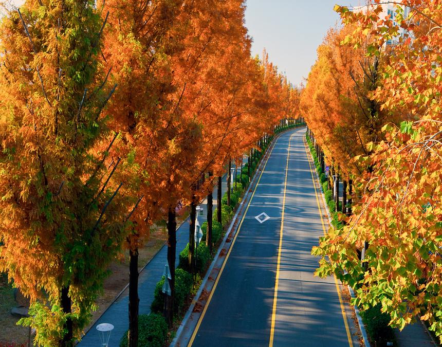 2018년 강남구 사진공모전 출품작(양재천) - 1