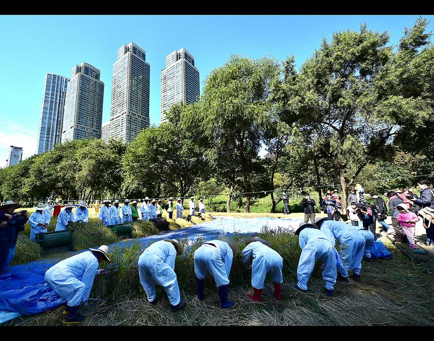 2017년 강남구 사진공모전 출품작(양재천) - 12