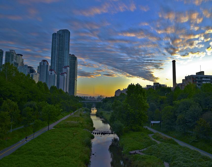 2017년 강남구 사진공모전 출품작(양재천) - 4