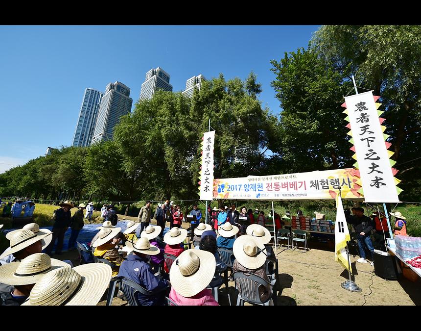 2017년 강남구 사진공모전 출품작(양재천) - 8