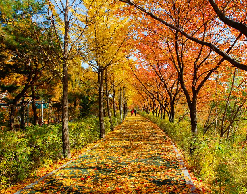 2018년 강남구 사진공모전 출품작(양재천) - 2