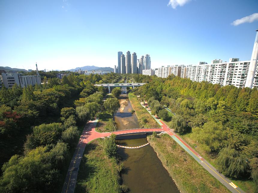 양재천 - 1