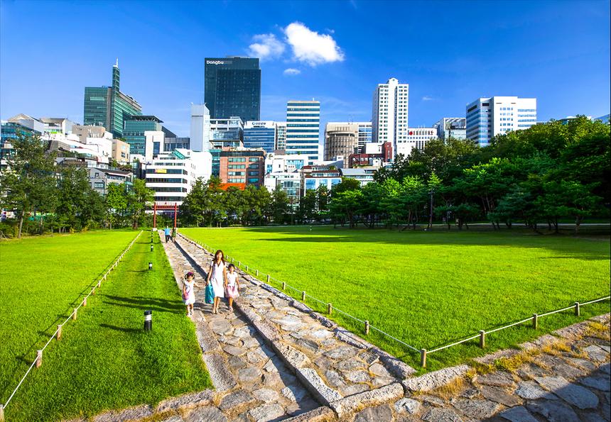 2019년 강남구 사진공모전 수상작-1 - 2