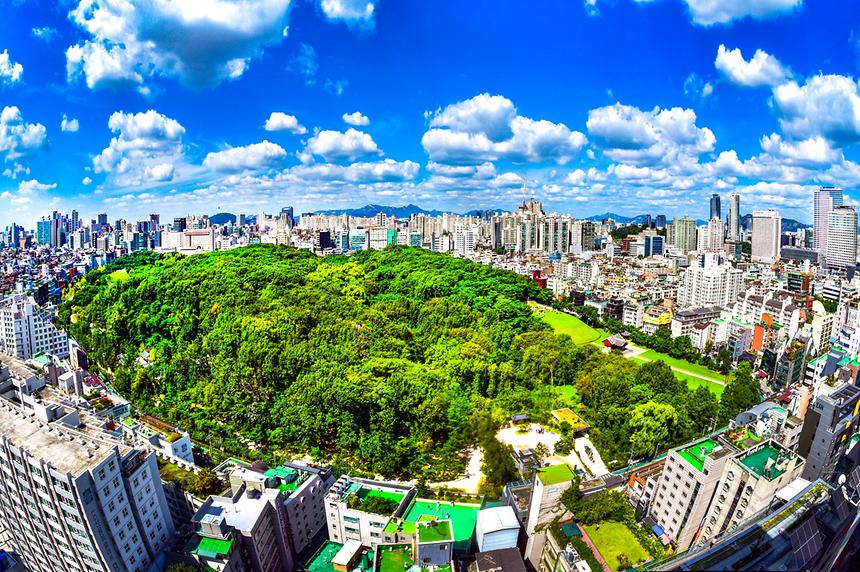 2018년 강남구 사진공모전 출품작 - 6