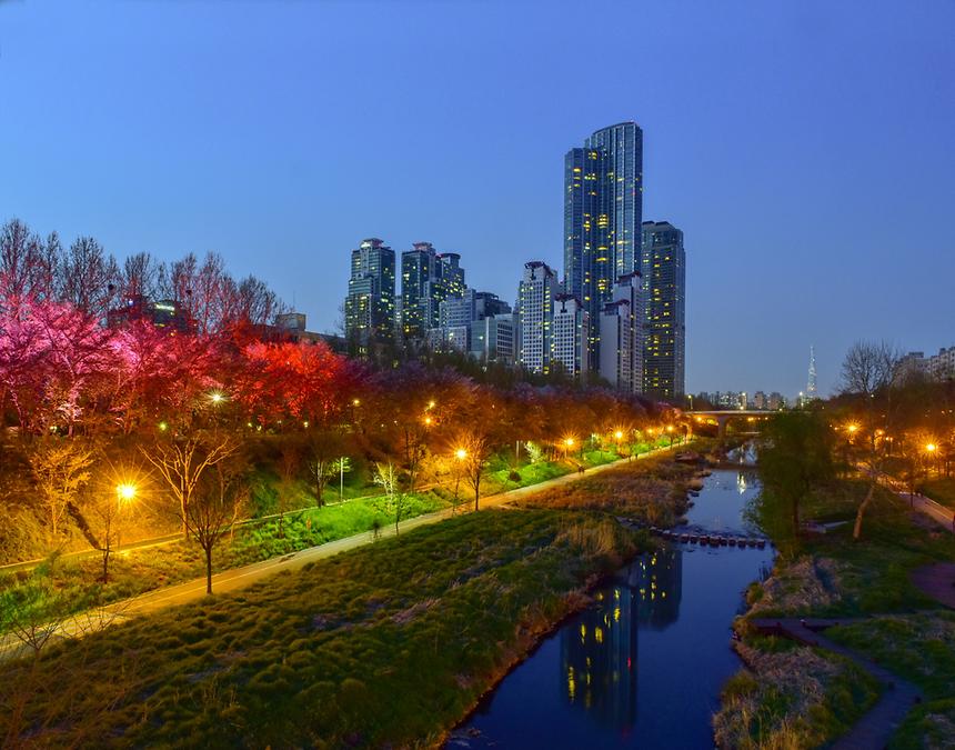 2017년 강남구 사진공모전 출품작(양재천) - 9