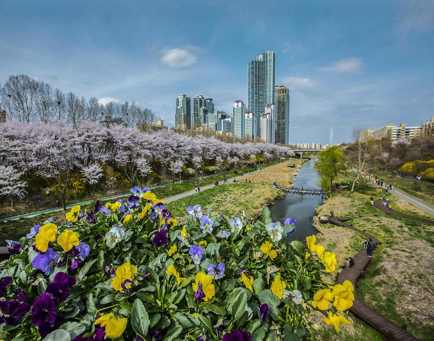 2017년 강남구 사진공모전 출품작(양재천) - 11