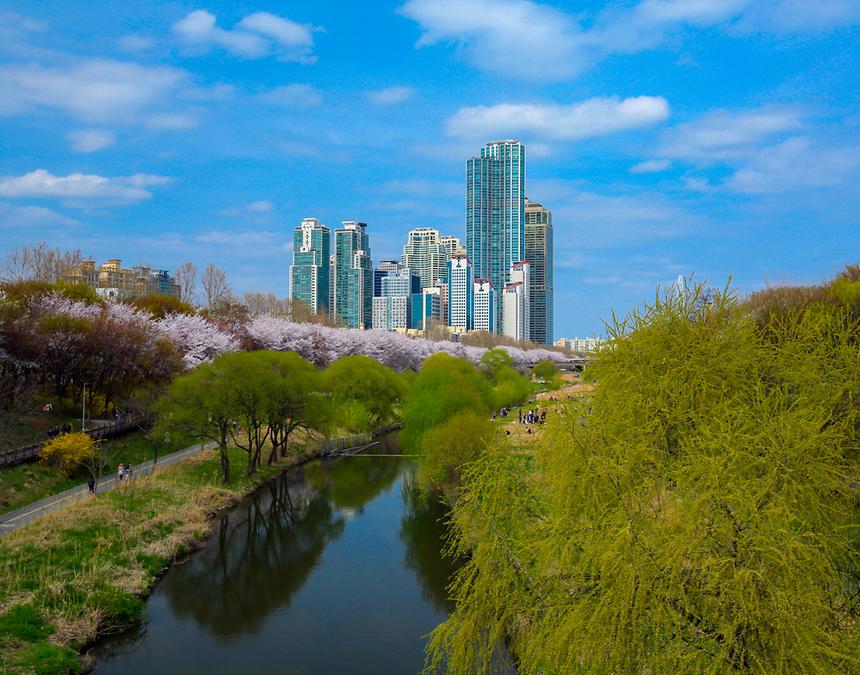 2017년 강남구 사진공모전 출품작(양재천) - 10