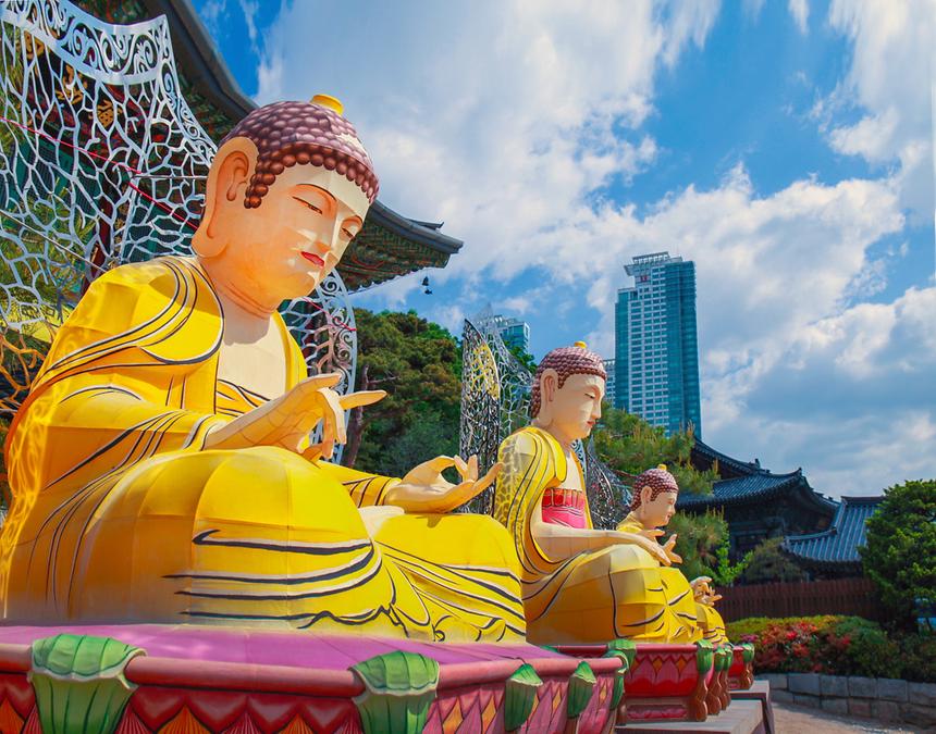 2018년 강남구 사진공모전 출품작(봉은사, 선정릉) - 3