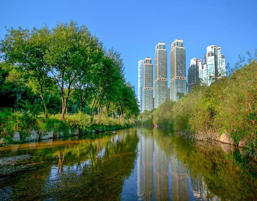 2018년 강남구 사진공모전 출품작(양재천) - 11