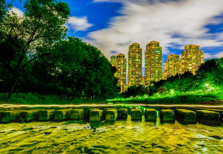 2019년 강남구 사진공모전 수상작-1 - 12