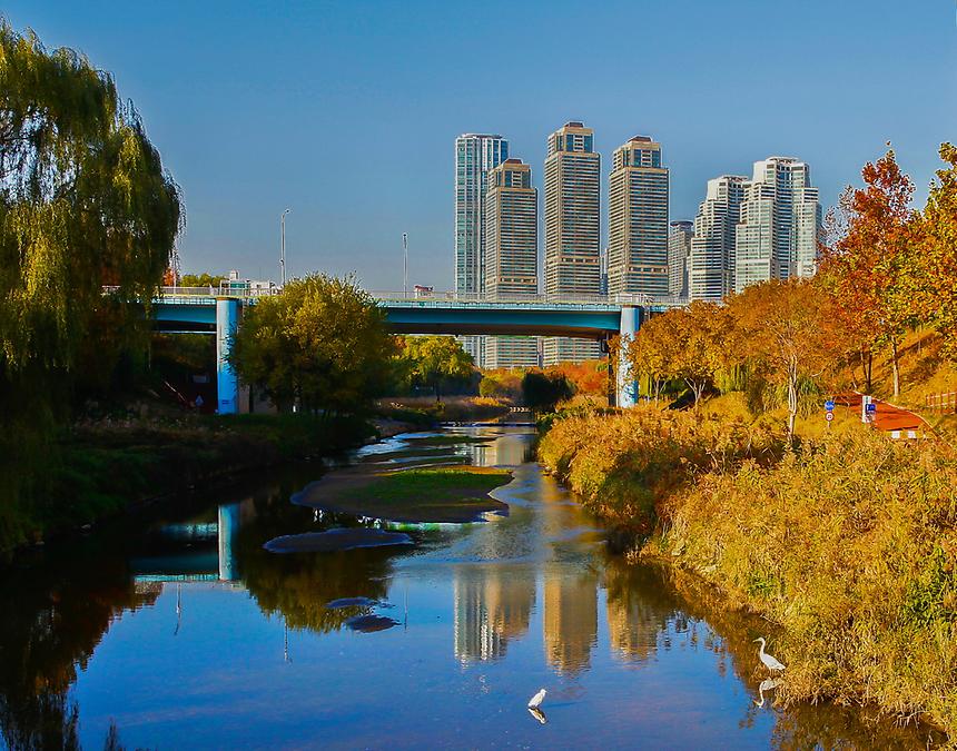 2018년 강남구 사진공모전 출품작(양재천) - 3